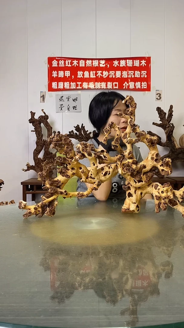 香榧木强****6金丝红木   羊蹄甲