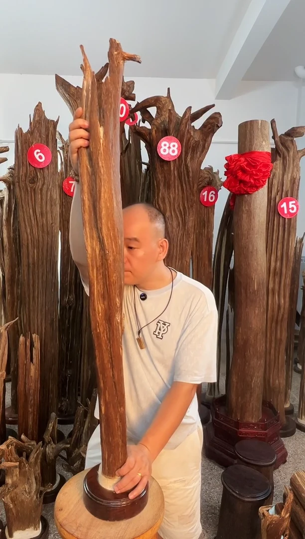 沉香碎屑沉香沉香原料6