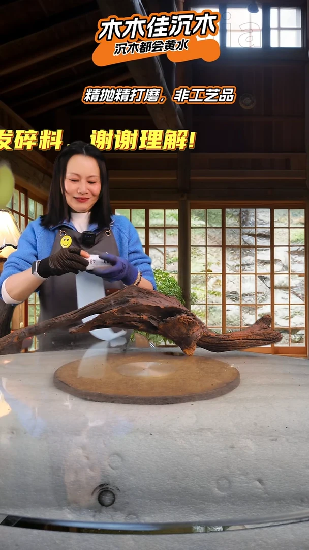 湖****司木木佳沉木鱼缸造景478