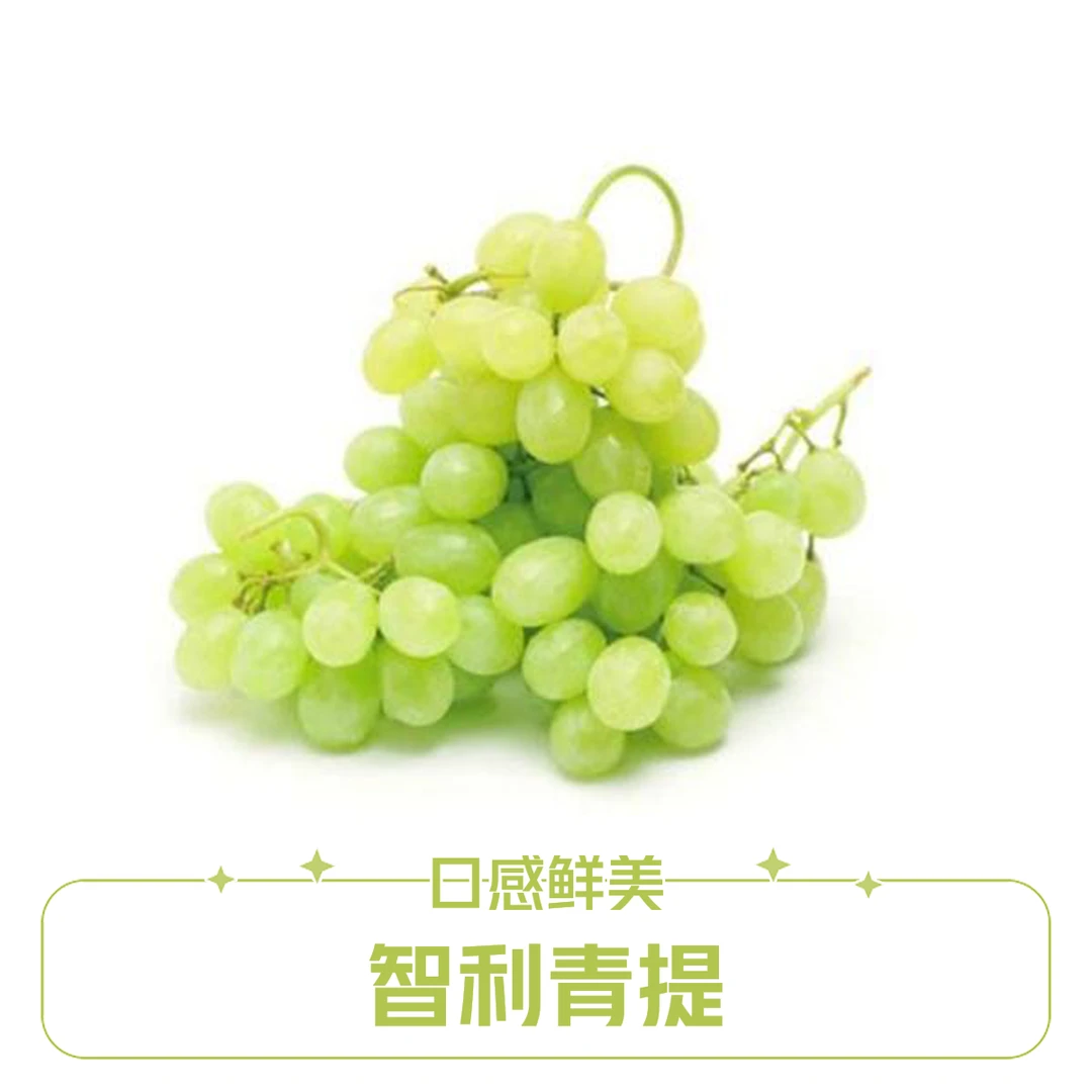 智利进口青提500g