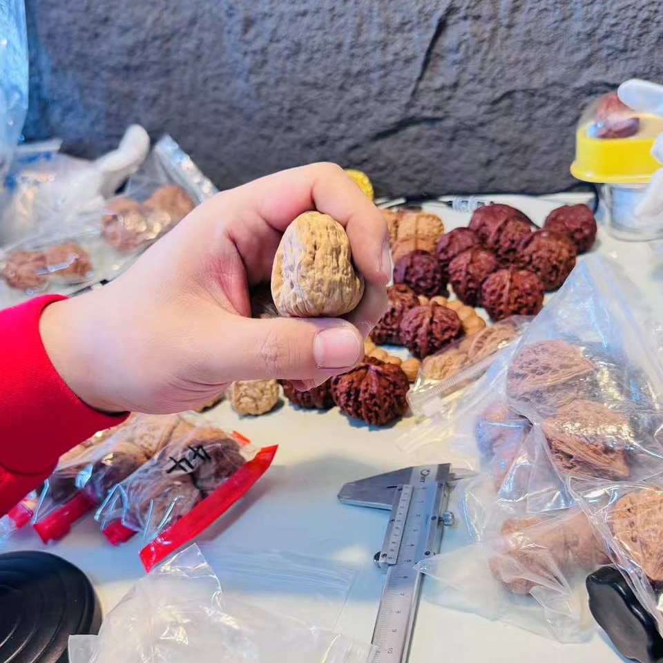 文玩核桃定向孤品