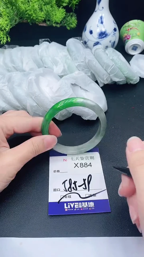 未镶嵌手镯翡翠884