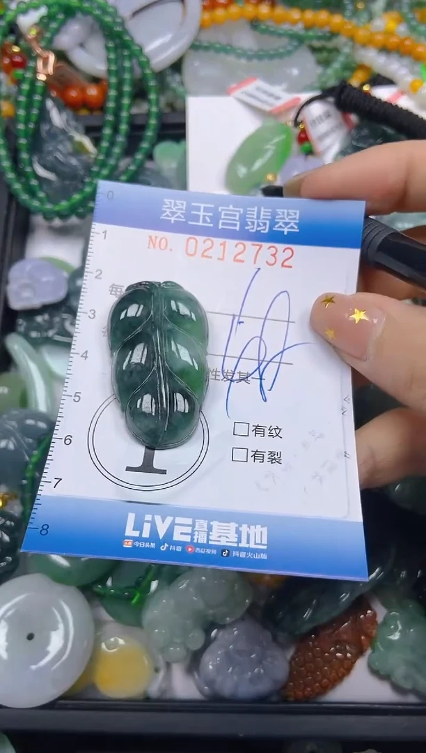 颈饰未镶嵌翡翠闪购C0212732