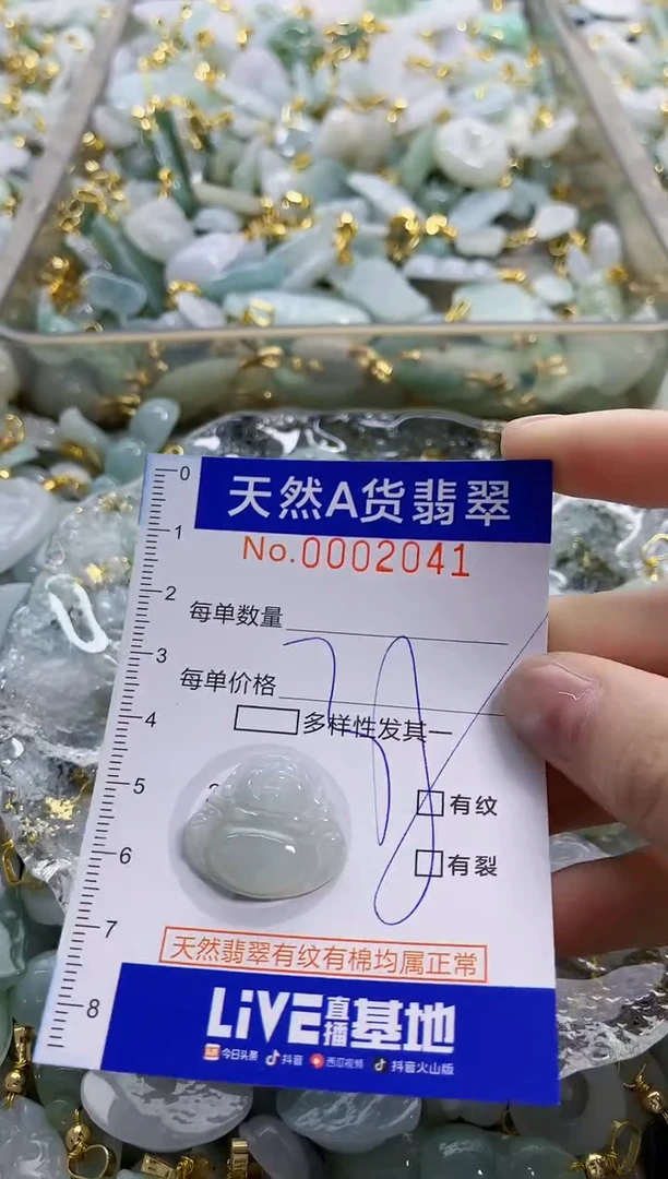 颈饰未镶嵌翡翠纯天然a货翡翠