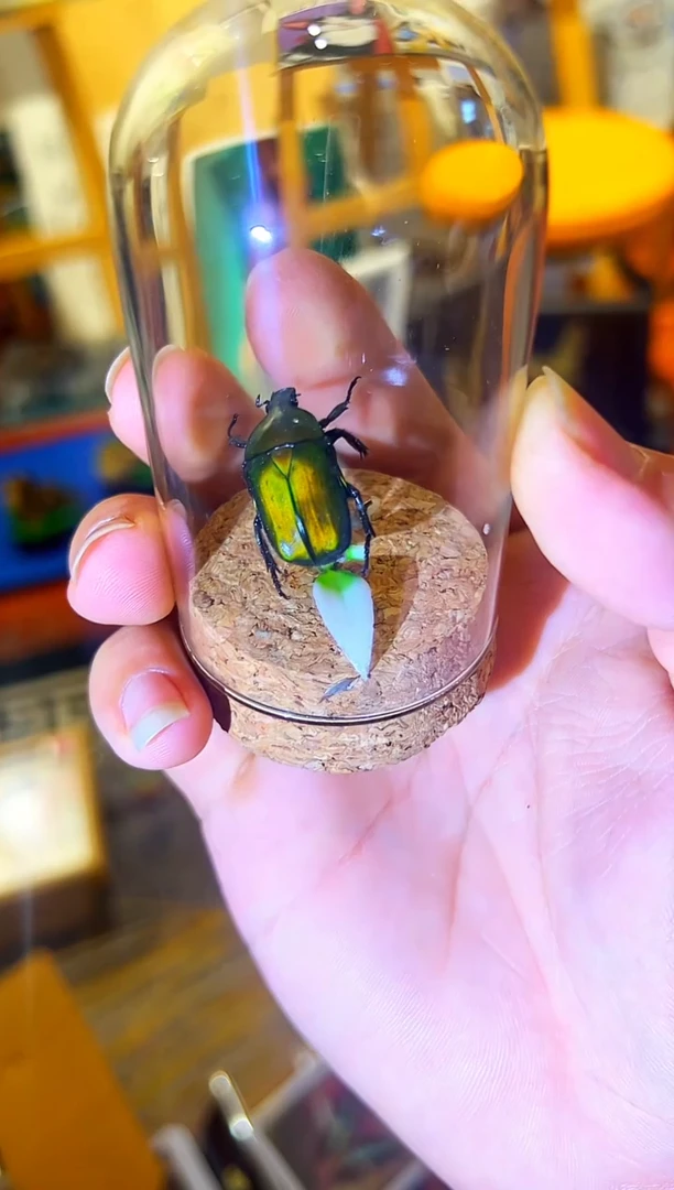 有机玻璃155888484