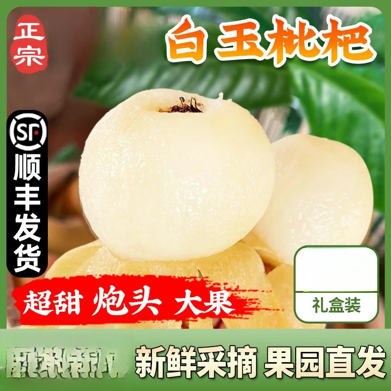 现货超甜四川白玉枇杷新鲜水果大果园直销白玉琵琶礼盒装顺丰