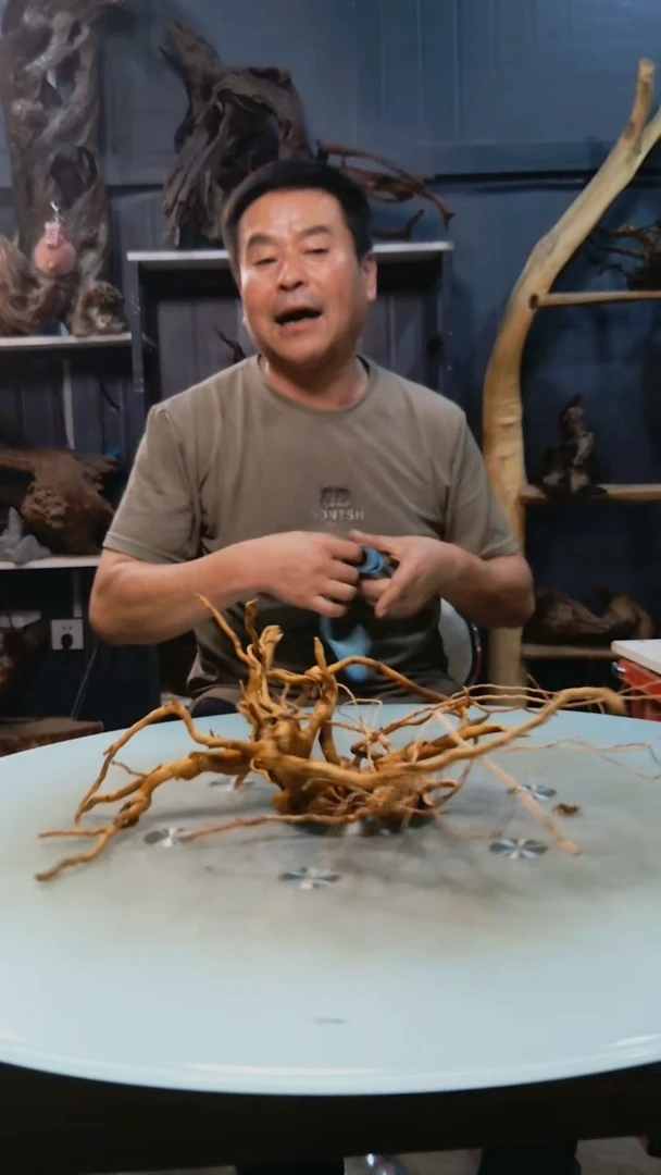 799清香阁清香阁清香阁