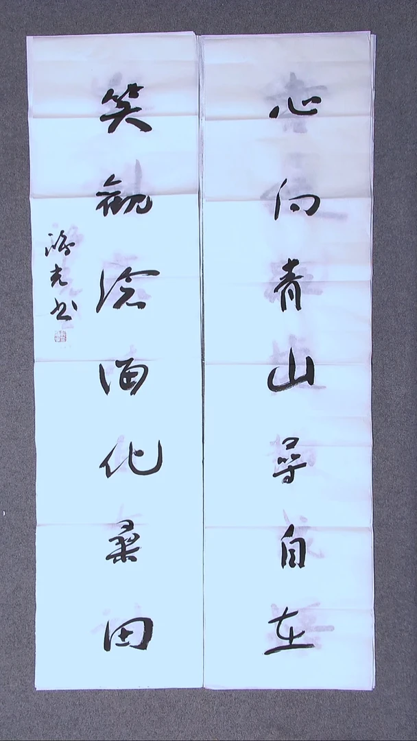 书法郭鸿光银川八平尺138*34*2