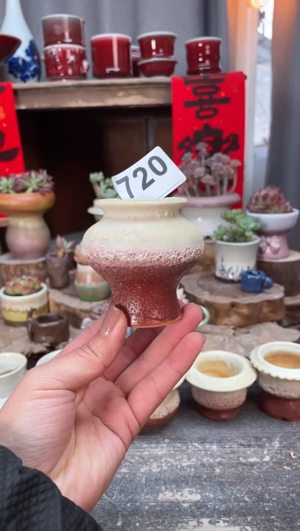 【闪购商品】摆件720知木小芳花盆