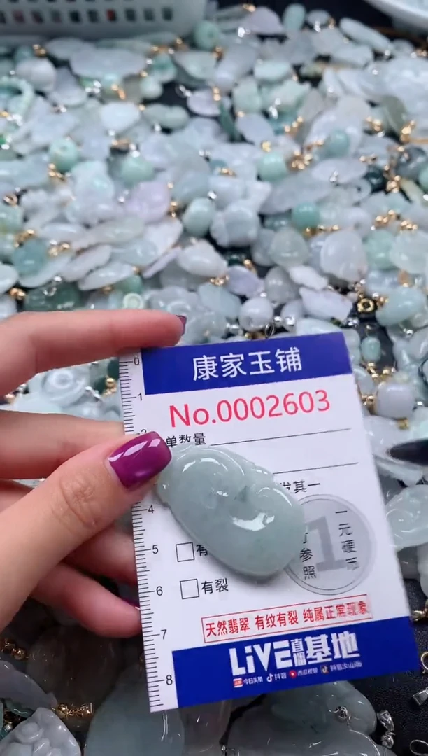 颈饰未镶嵌翡翠2603