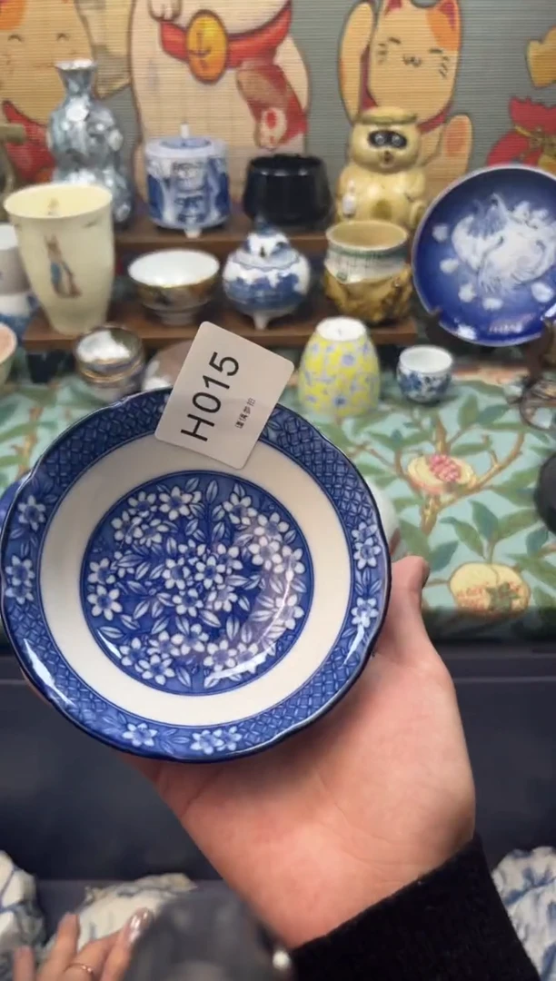 瓷片ᥫ****人     H015