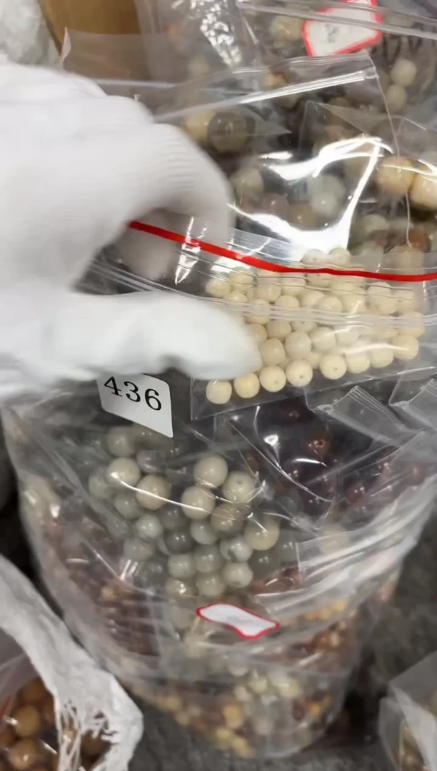 手串菩提根/象牙果瑕疵不挑（436）