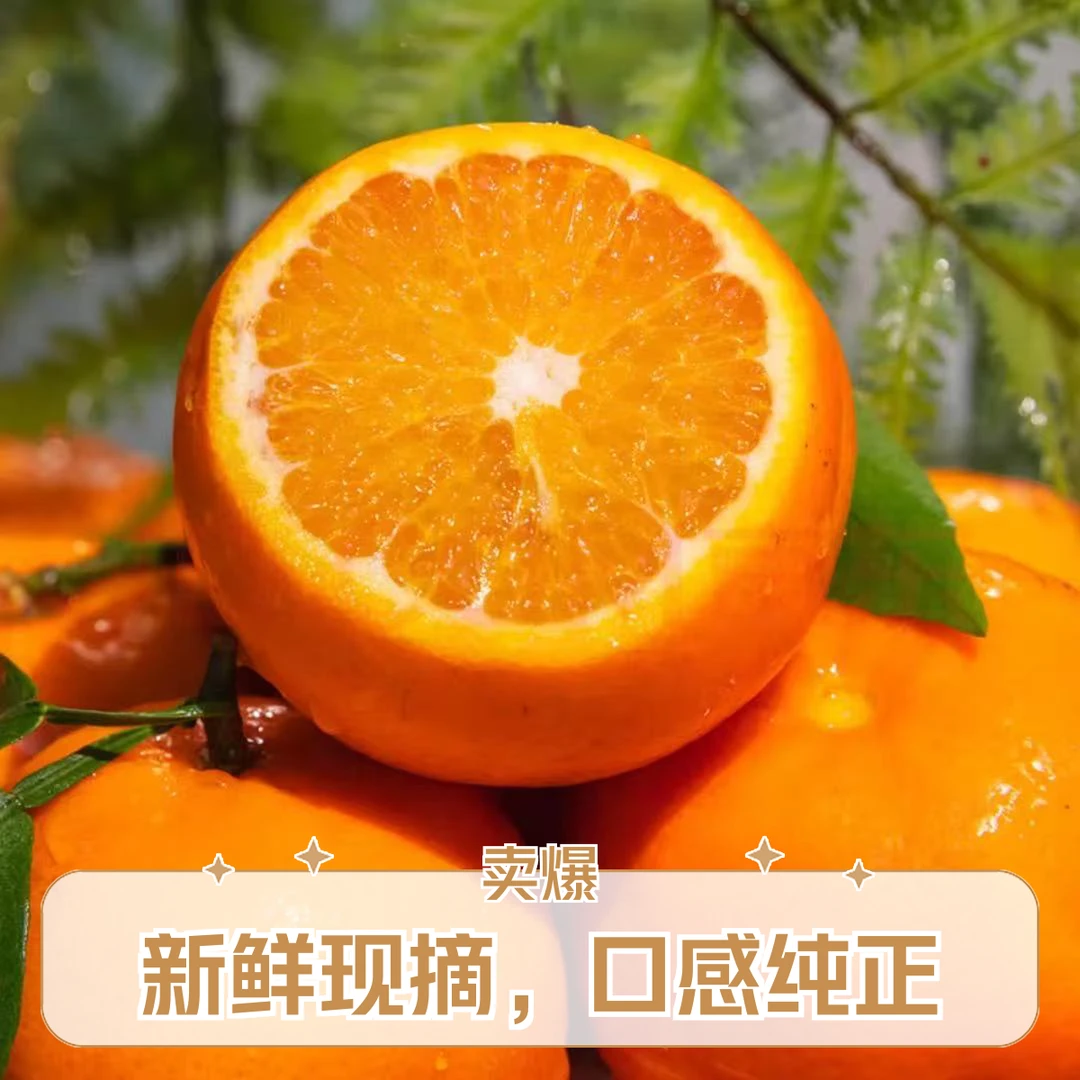 正宗广西武鸣沃柑香甜橘子 当季新鲜水果鲜甜多汁整箱5或10斤柑橘广西壮族自治区