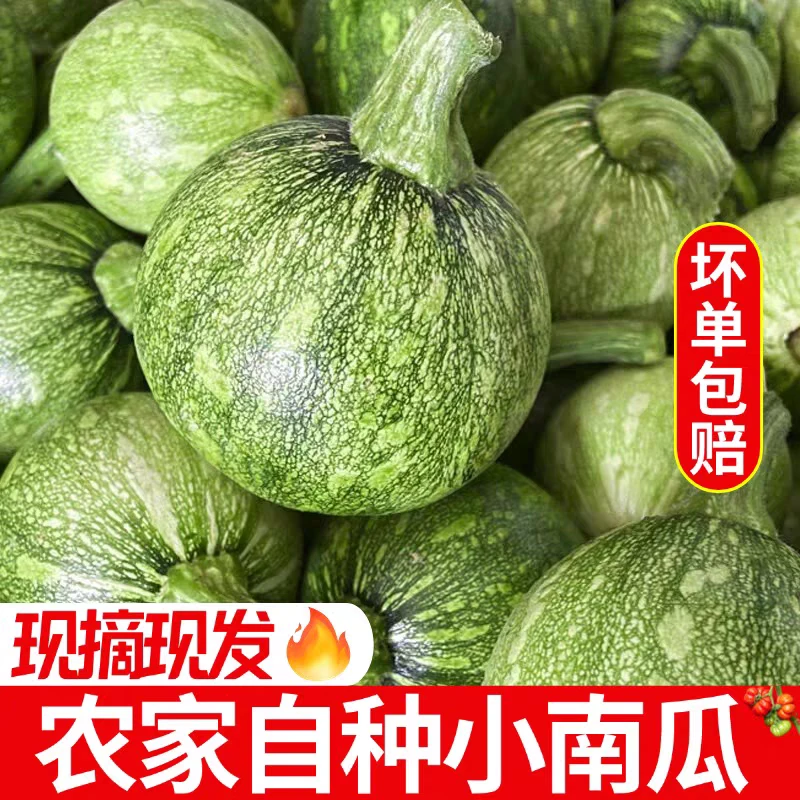 农家自种嫩南瓜迷你小南瓜清甜可口现摘现发包邮