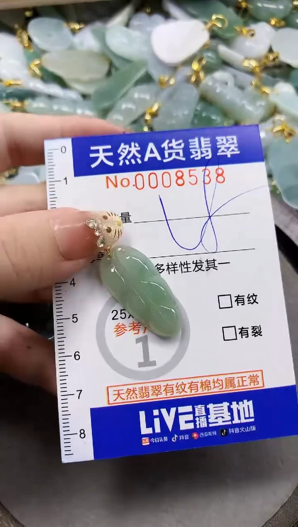 颈饰未镶嵌翡翠天然A货翡翠