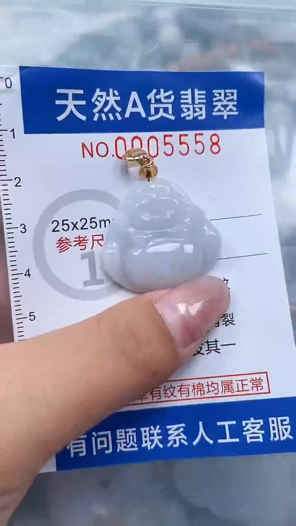 翡翠未镶嵌吊坠(不含链)1