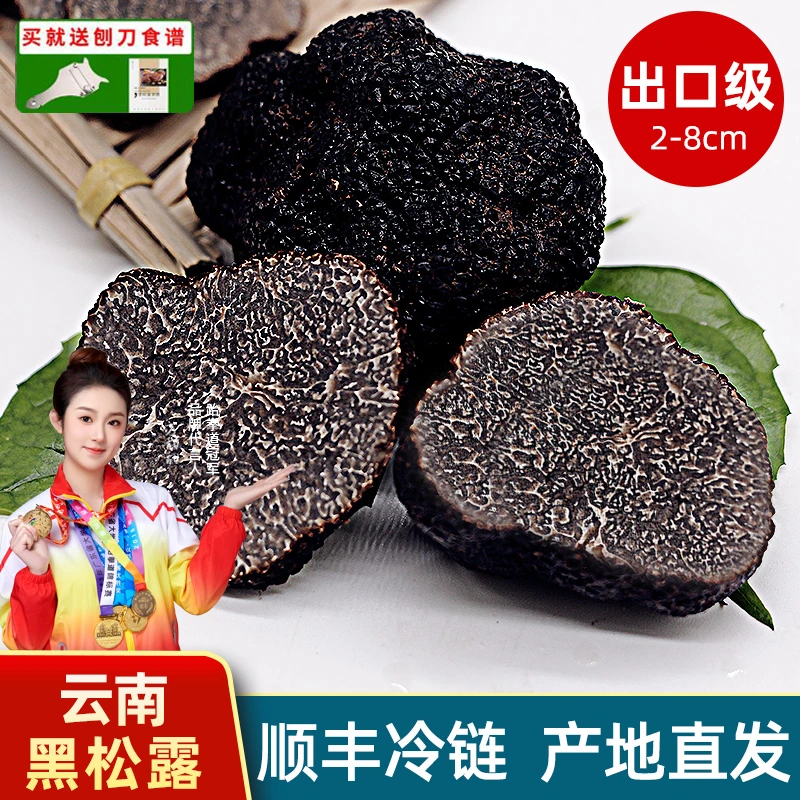 云南成熟新鲜黑松露野生菌猪拱菌菇大个云南菌子高黎贡山块菌礼盒