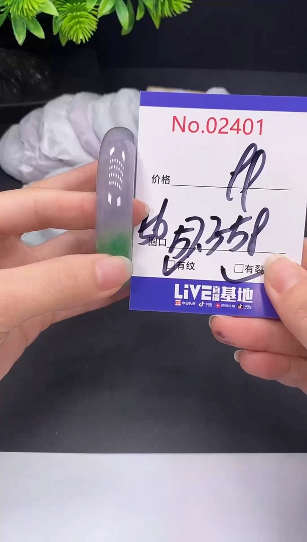 未镶嵌手镯翡翠2401