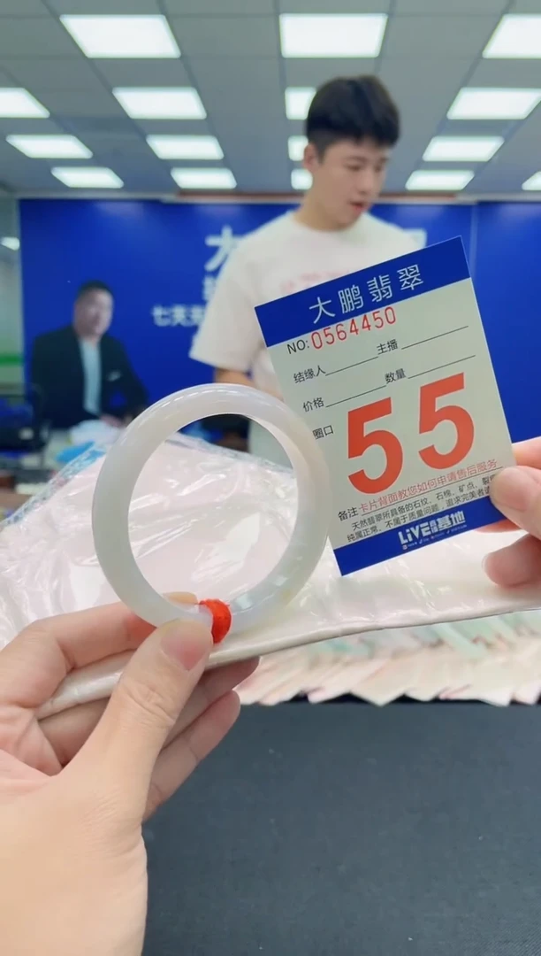 未镶嵌手镯翡翠AAAAAAAAA