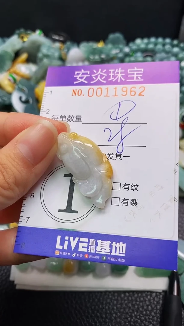 颈饰未镶嵌翡翠闪购0011962