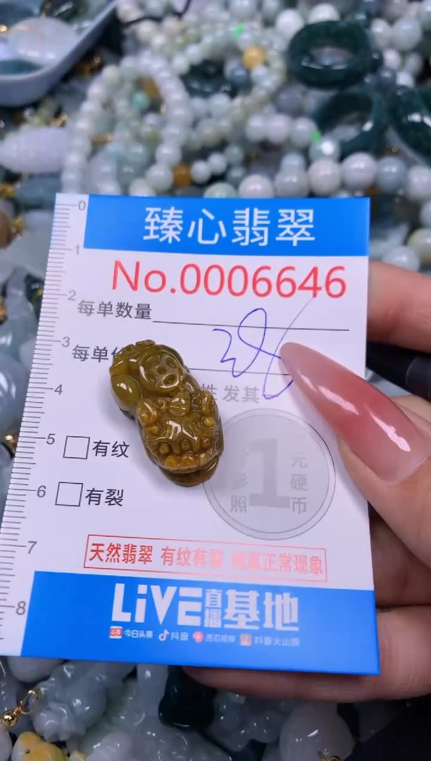 【闪购商品】翡翠颈饰未镶嵌含绳0006646