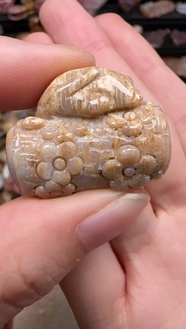 硅化珊瑚（珊瑚玉）未镶嵌颈饰623