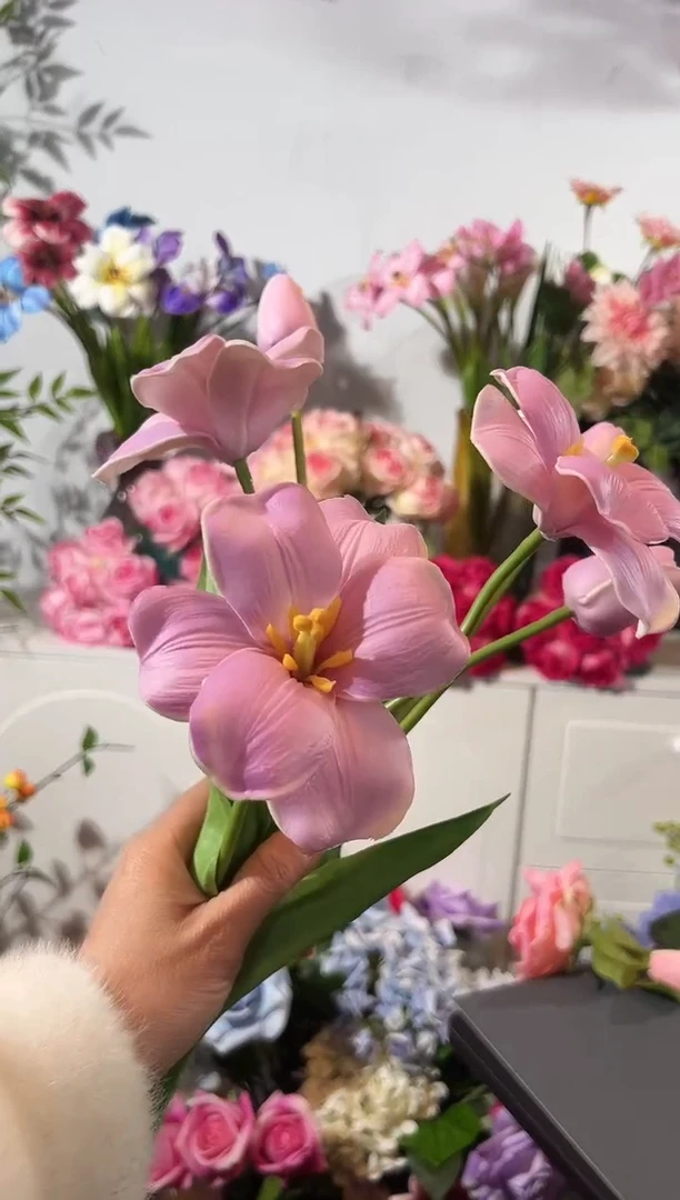 3枝紫色2头布朗尼