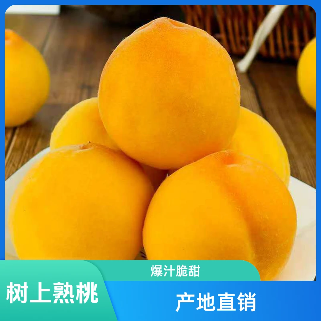黄桃当季新鲜湖北黄桃软糯脆甜时令水果