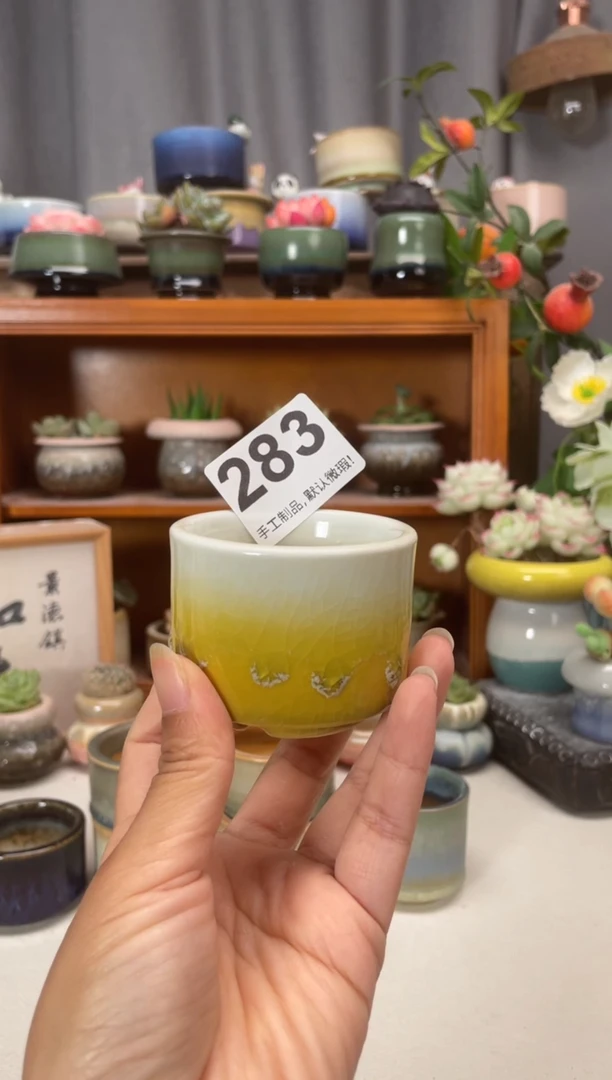 瓷片蛋*挞283微瑕福利知木小芳花盆