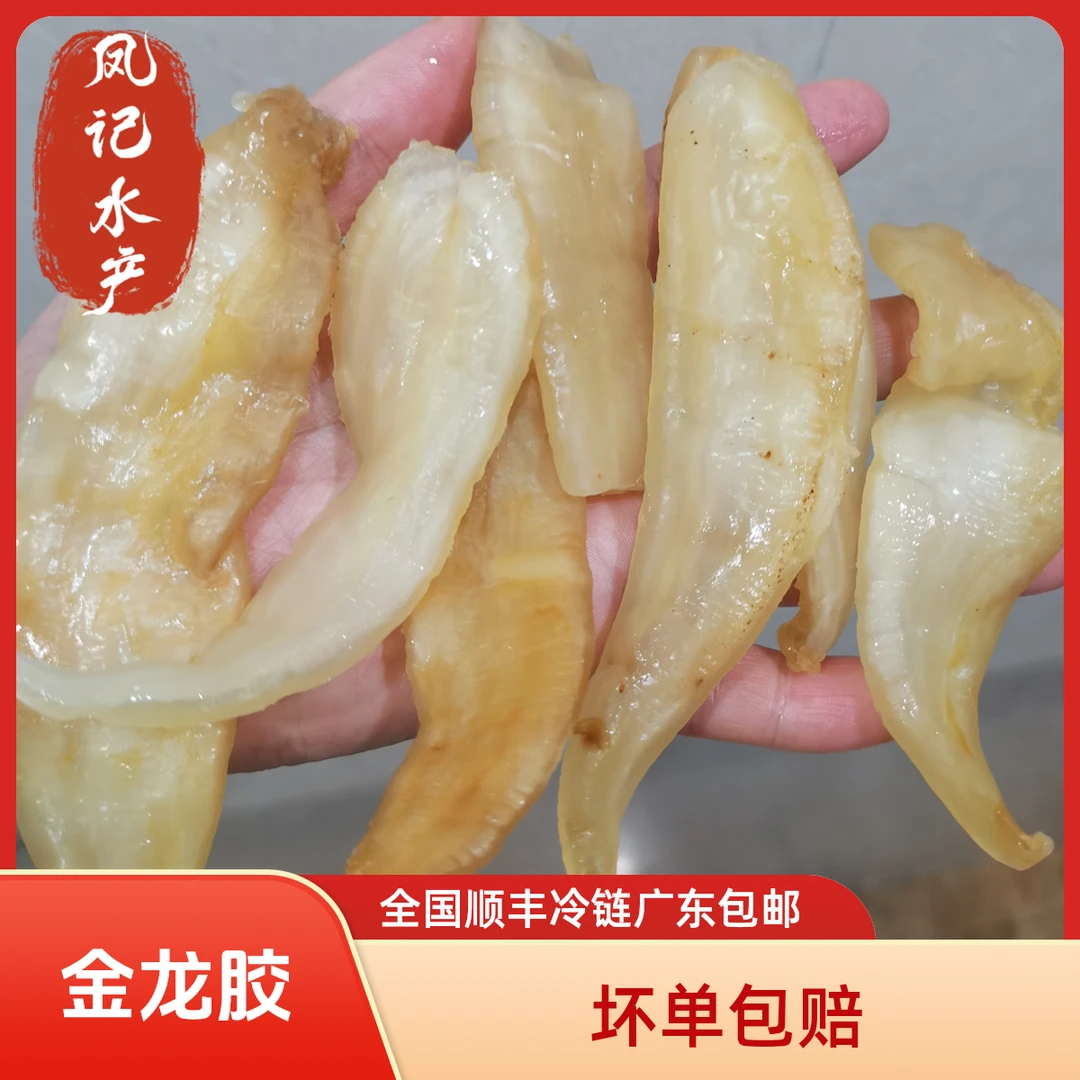 汕尾本港  金龙胶