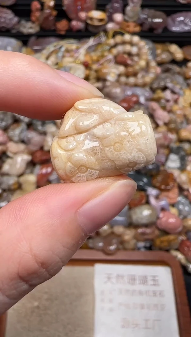 硅化珊瑚（珊瑚玉）未镶嵌颈饰038
