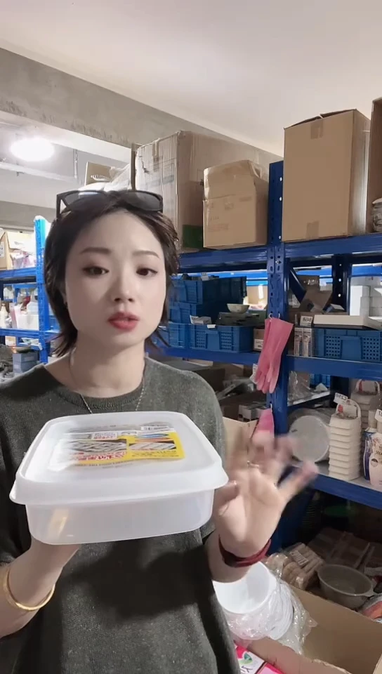 瓷片进口家用百货饺子盒一只