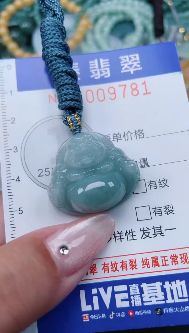 翡翠未镶嵌颈饰.0009781