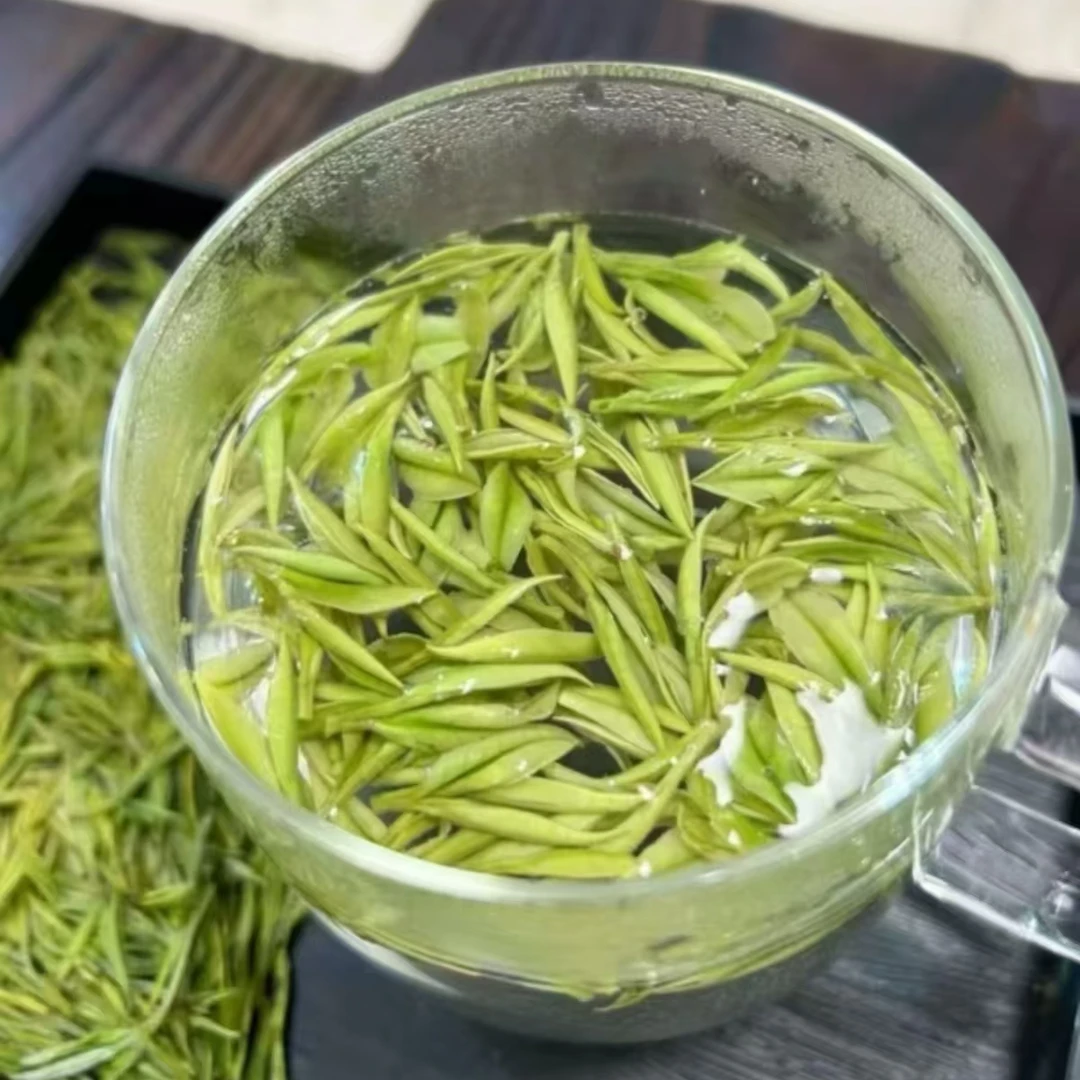 君子兰 【2025新茶】 安吉白茶 昆铜产区 头采兰花香带竹香