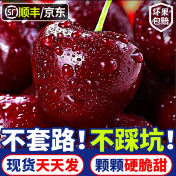 3JD【顺丰京东】智利进口车厘子新鲜水果内附果径卡桑提娜海运400gD