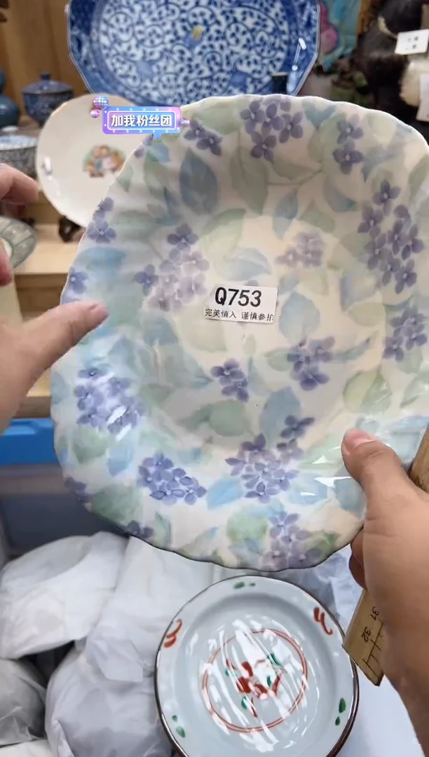 【闪购商品】瓷片753qqqqqqqqqqqq