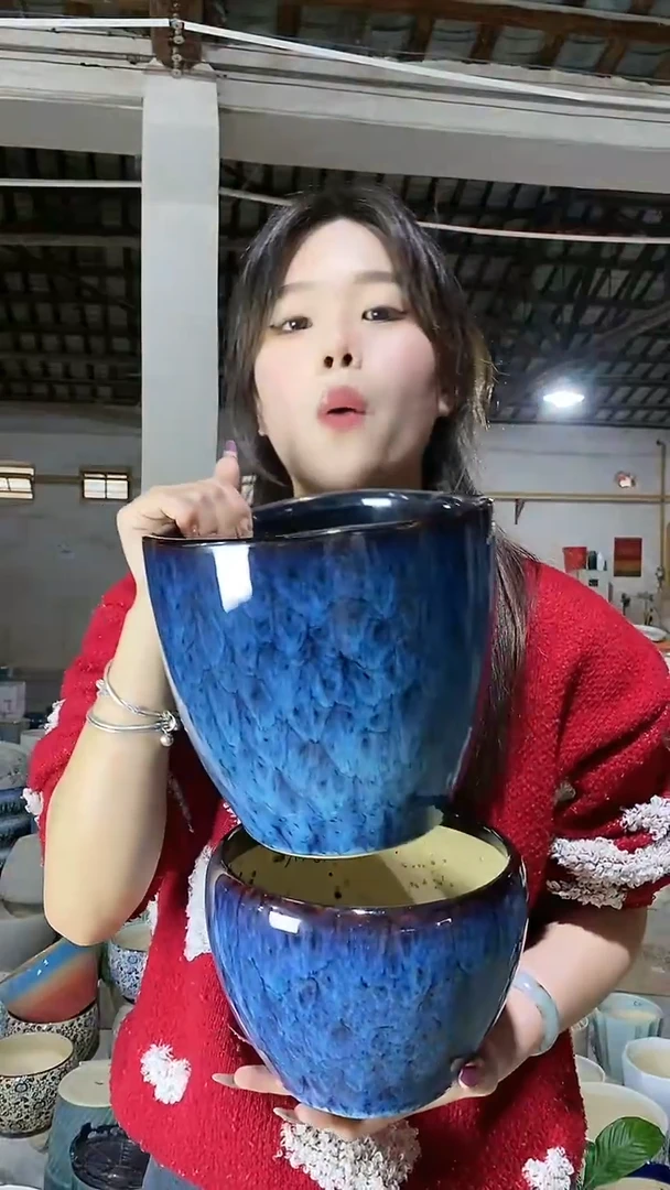 【闪购商品】陶瓷鹅蛋形孔雀蓝中+02孔雀蓝中MM