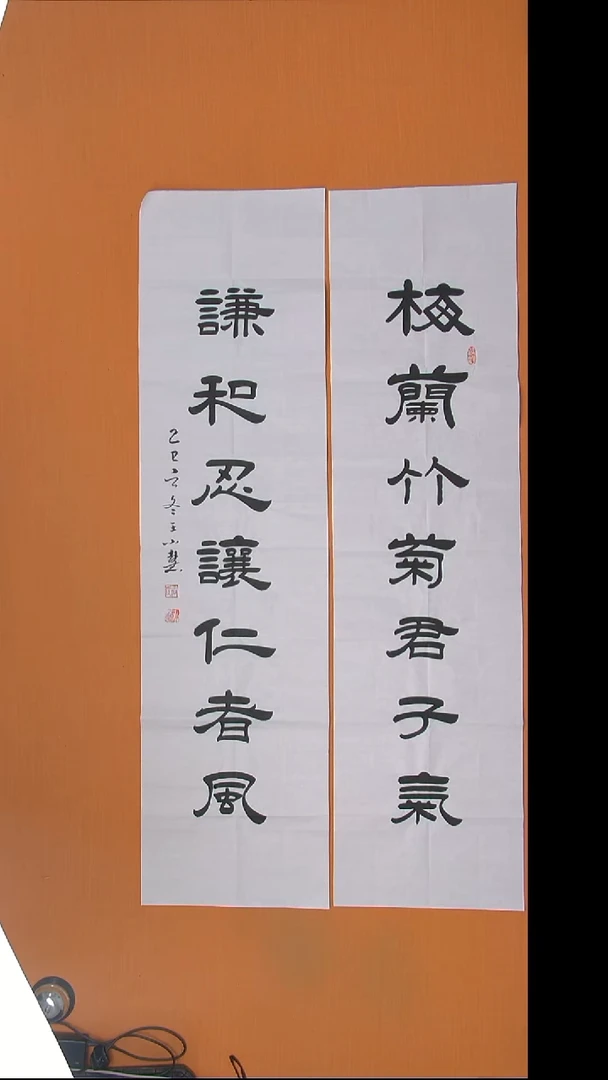 书法王小慧老师精美作品138*34*2