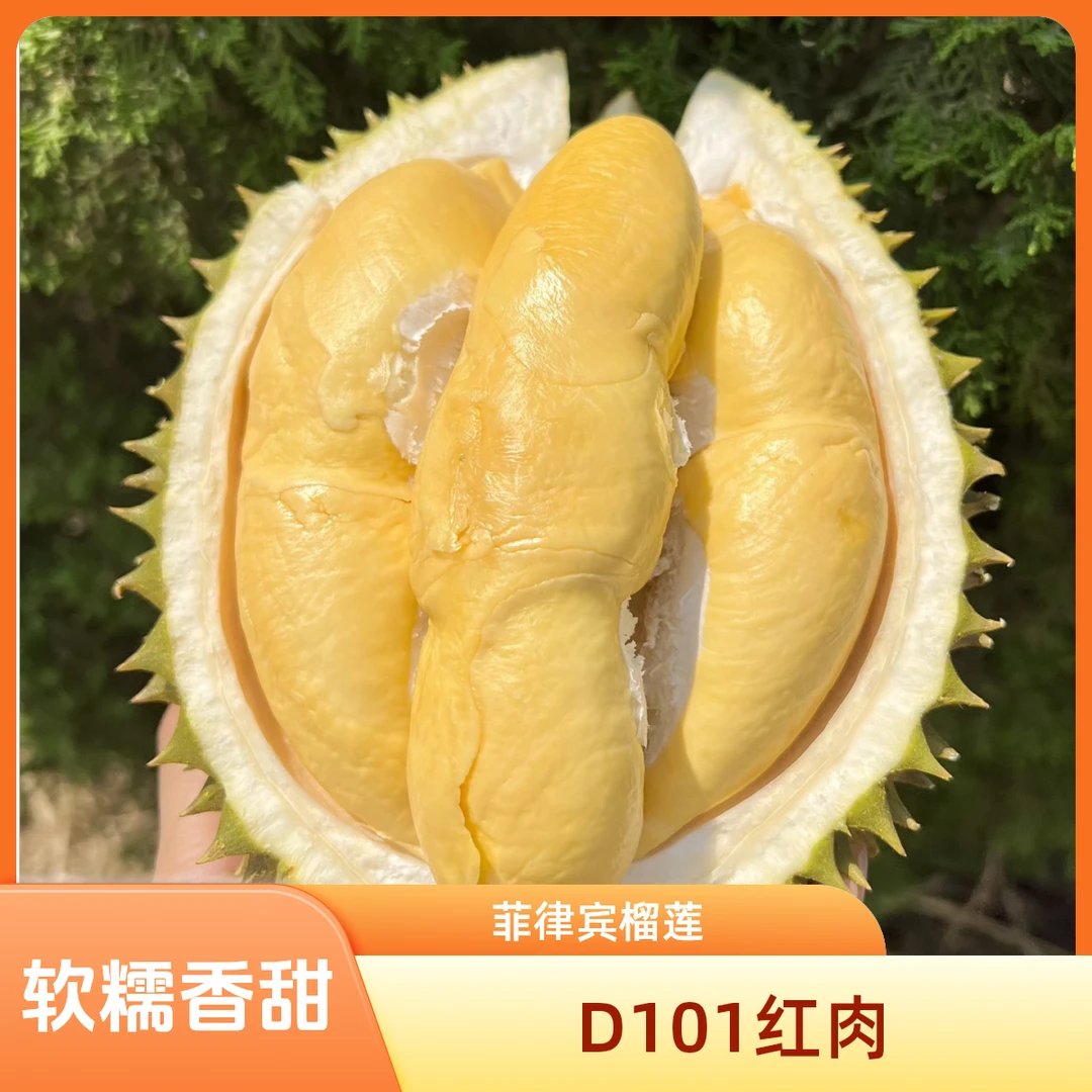 【D101红肉】新鲜菲律宾榴莲1~3斤深圳小时达核小香甜软糯D101红肉菲律宾