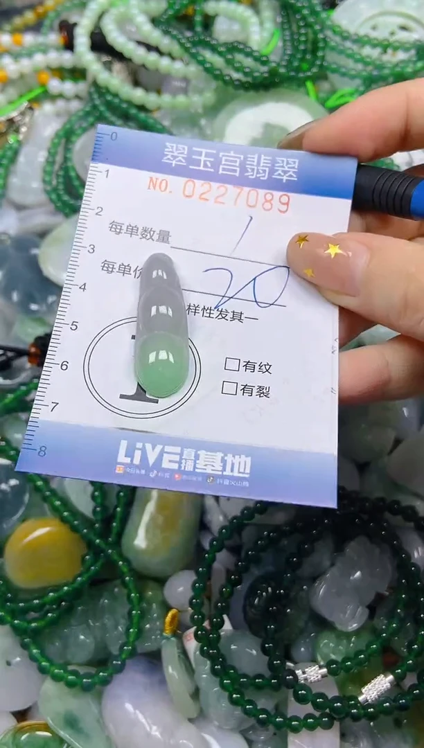 颈饰未镶嵌翡翠闪购C0227089