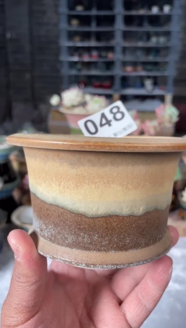 瓷片048小芳直播编号