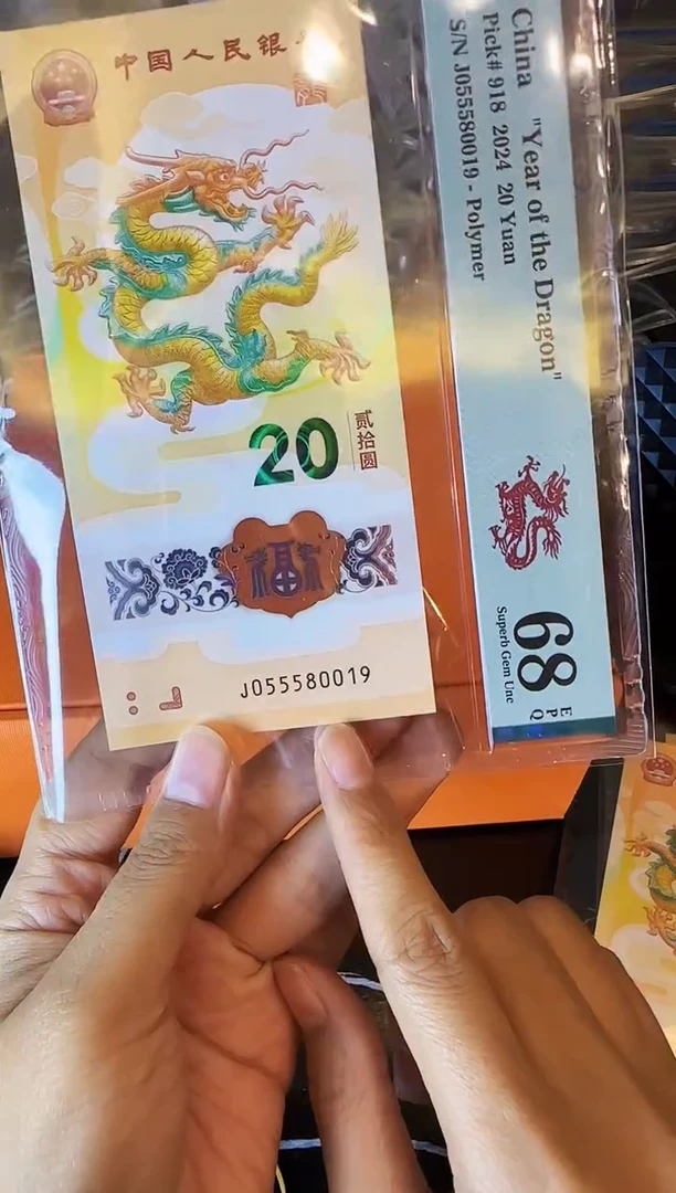 塑料2024 龙钞 单张 如图 啊啊啊