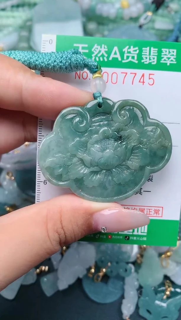 翡翠未镶嵌颈饰.0007745