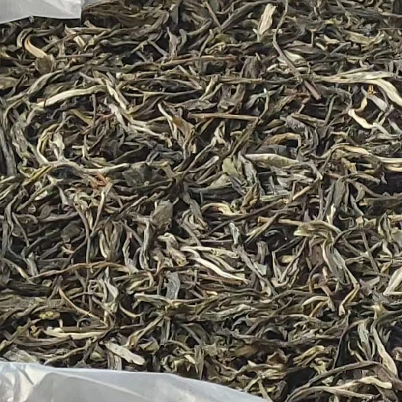 568号2017年章外石头寨50号古树头春头采生茶散料/普洱生茶散料