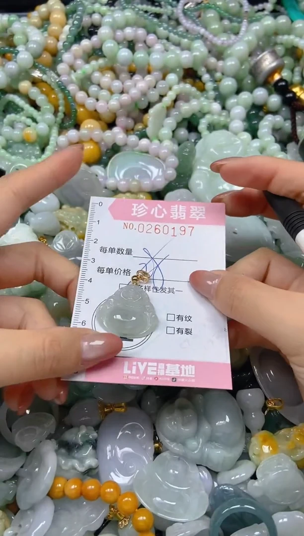 翡翠未镶嵌颈饰闪购0260197多样性发其一