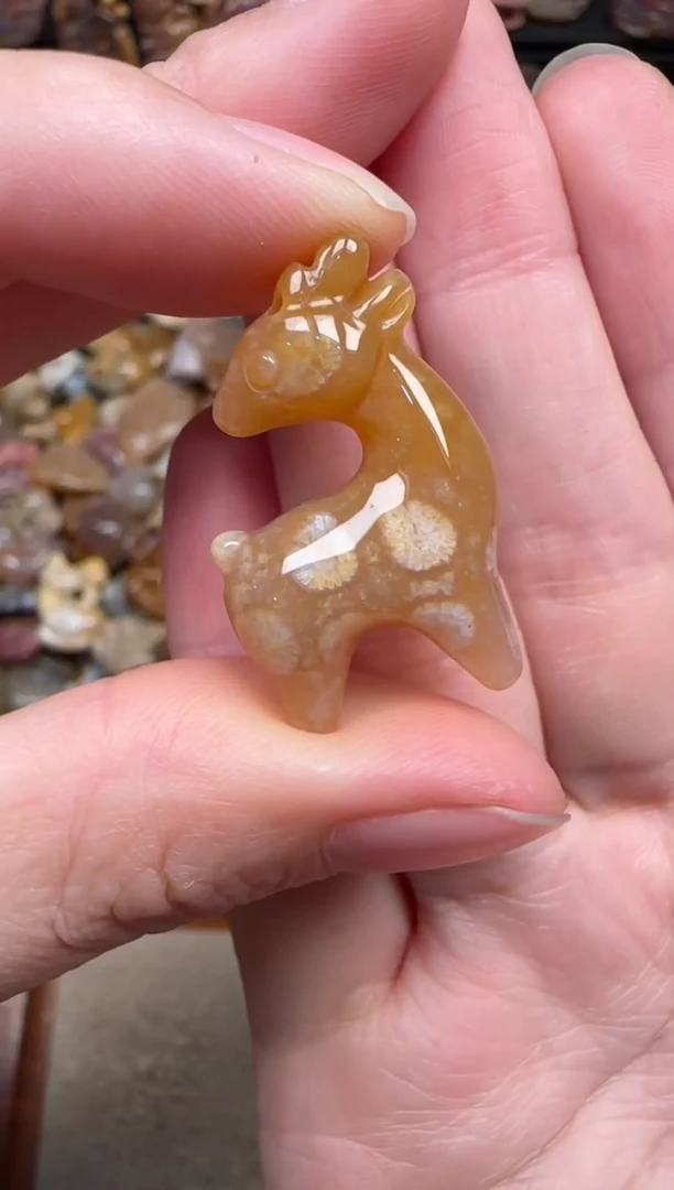 颈饰未镶嵌硅化珊瑚（珊瑚玉）204