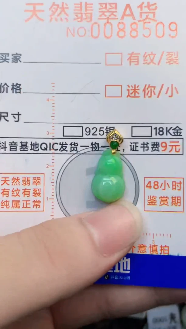 翡翠未镶嵌吊坠(不含链)1