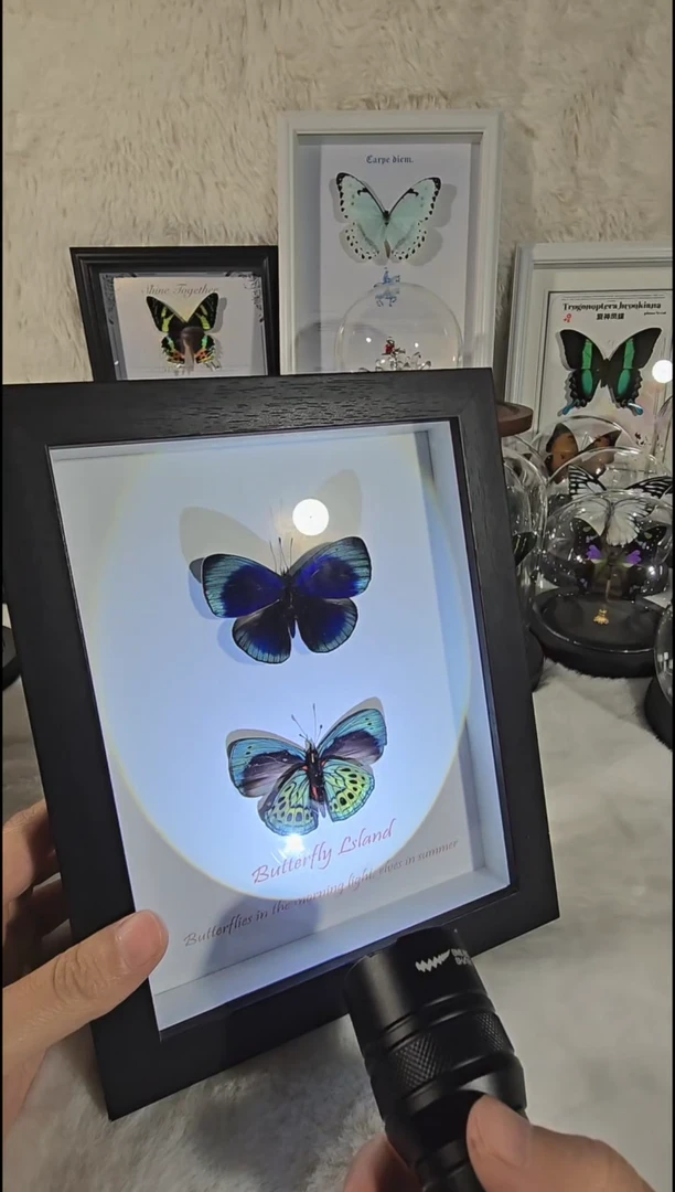 红夜猩双生8寸相框