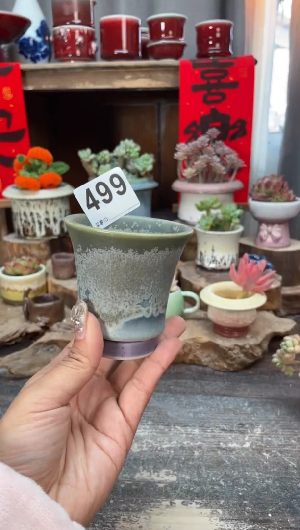 【闪购商品】摆件499知木小芳花盆