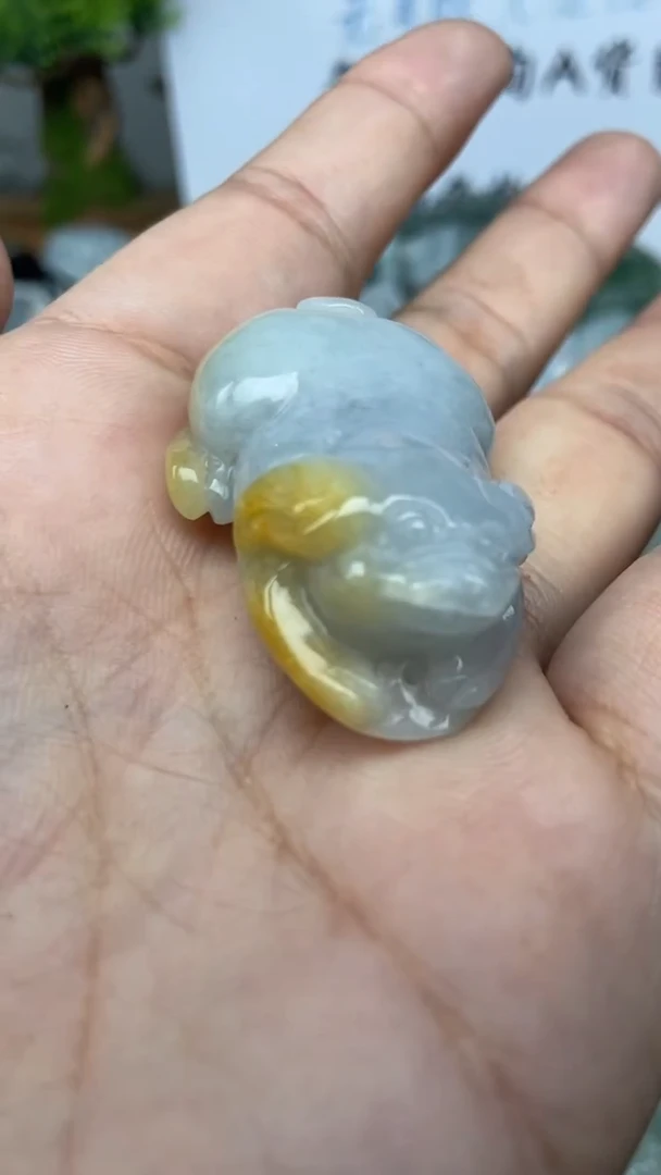 翡翠未镶嵌颈饰发财猪
